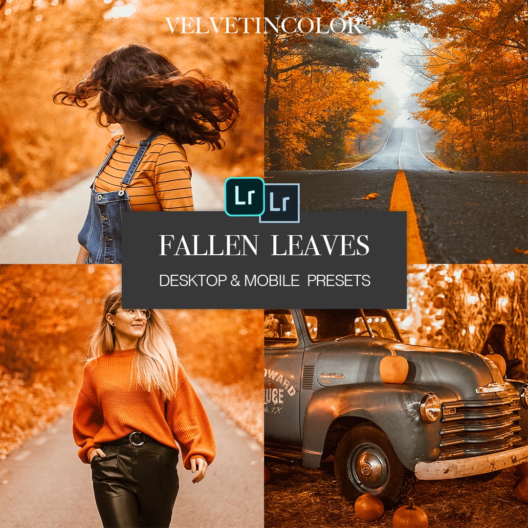 Fallen Leaves Preset Collection